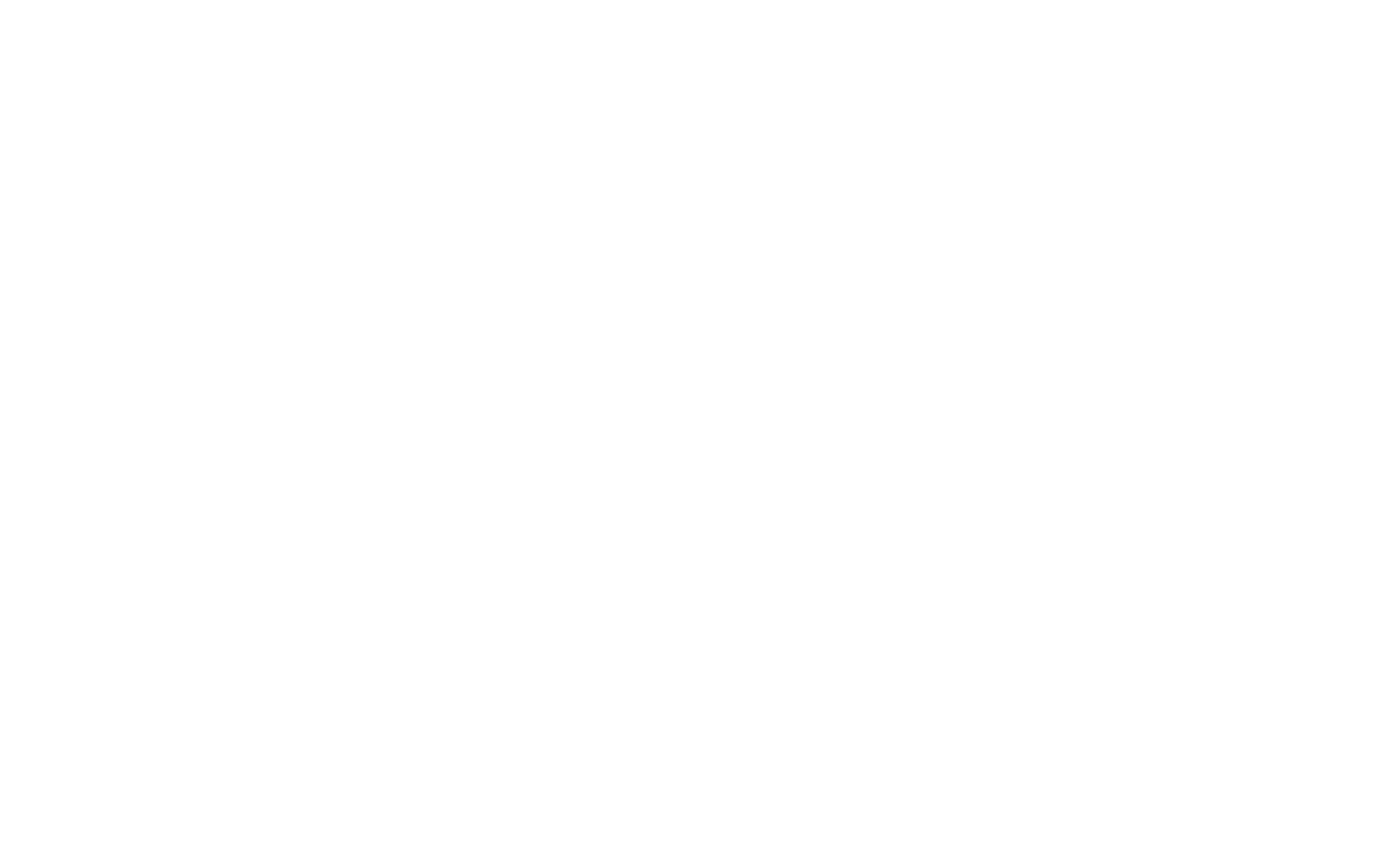 PDMA Digital Marketing | White UFO Logo